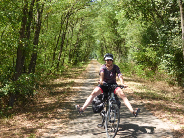 Il fait tellement chaud, que les arbres perdent leurs feuilles comme en automne