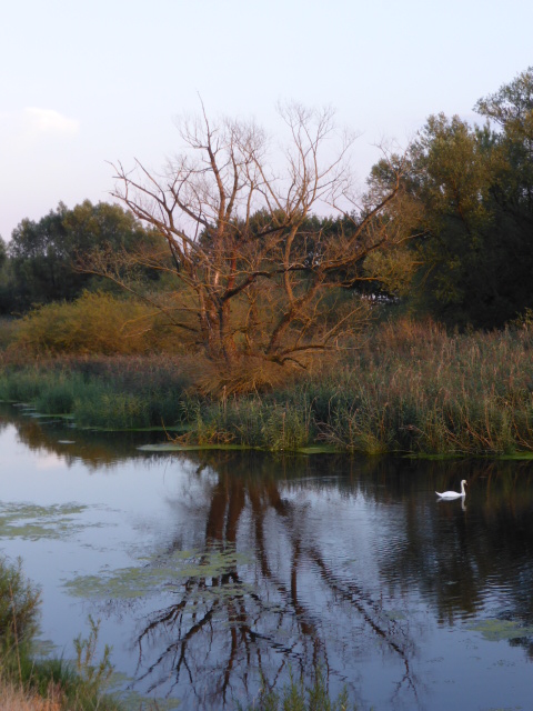 Une halte avant bivouac sur une zone humide le lond du Danube où les couleurs de la fin de journée sont autant appréciables que les températures moins caniculaires